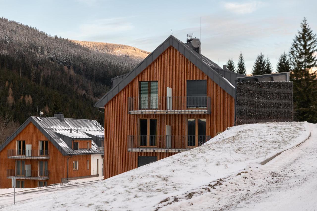 Apartman Pod Sneznikem Dolní Morava エクステリア 写真