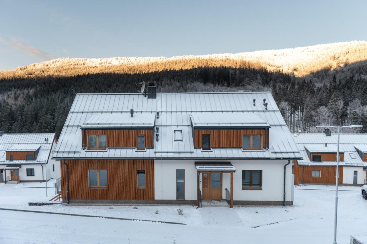 Apartman Pod Sneznikem Dolní Morava エクステリア 写真