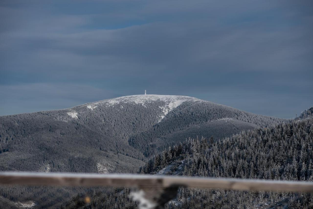 Apartman Pod Sneznikem Dolní Morava エクステリア 写真
