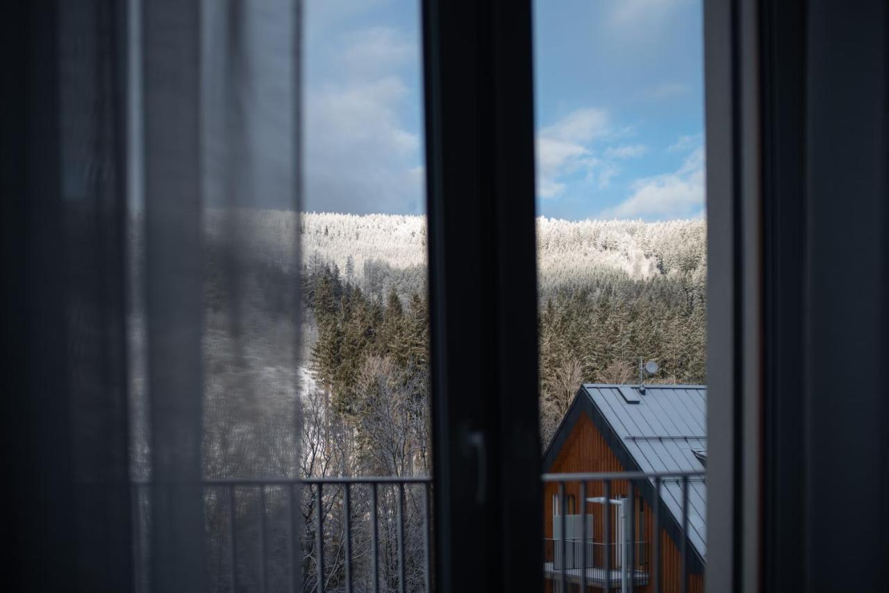 Apartman Pod Sneznikem Dolní Morava エクステリア 写真