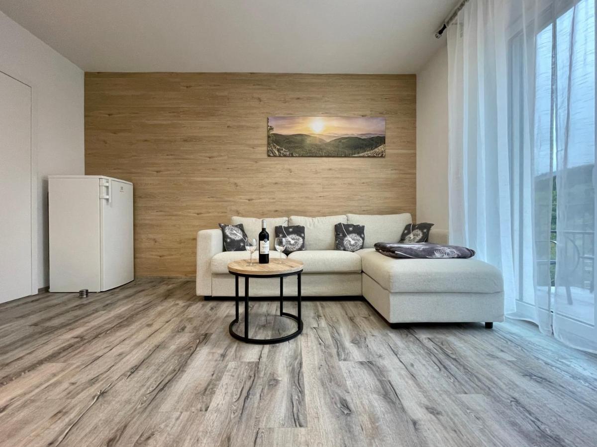 Apartman Pod Sneznikem Dolní Morava エクステリア 写真
